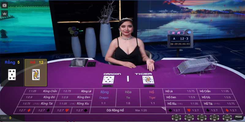 Ưu điểm nổi bật của Rồng Hổ Live tại CO88