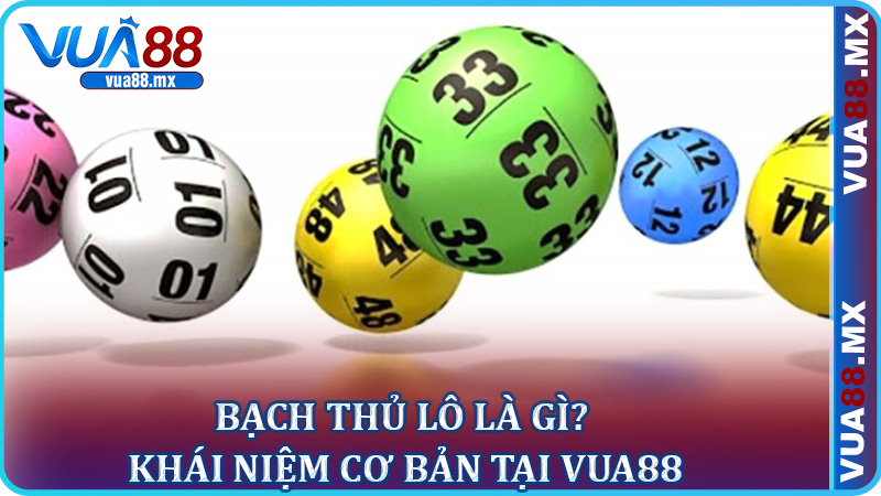 Bạch Thủ Lô Là Gì? Khái Niệm Cơ Bản Tại Vua88