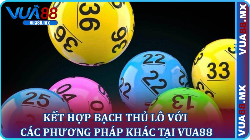 Kết Hợp Bạch Thủ Lô Với Các Phương Pháp Khác Tại Vua88