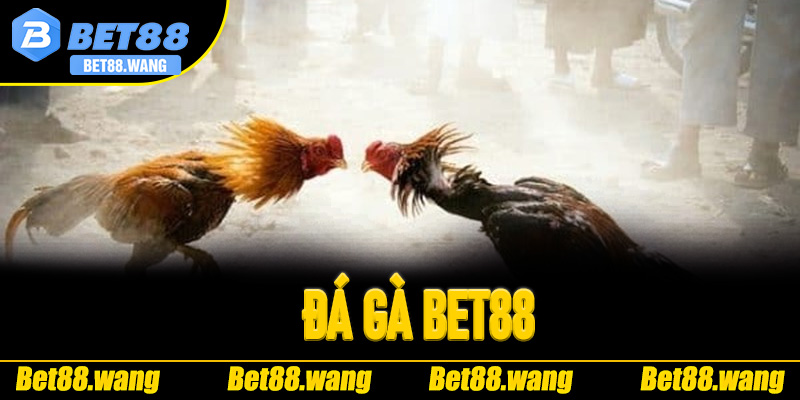 Đá Gà Bet88